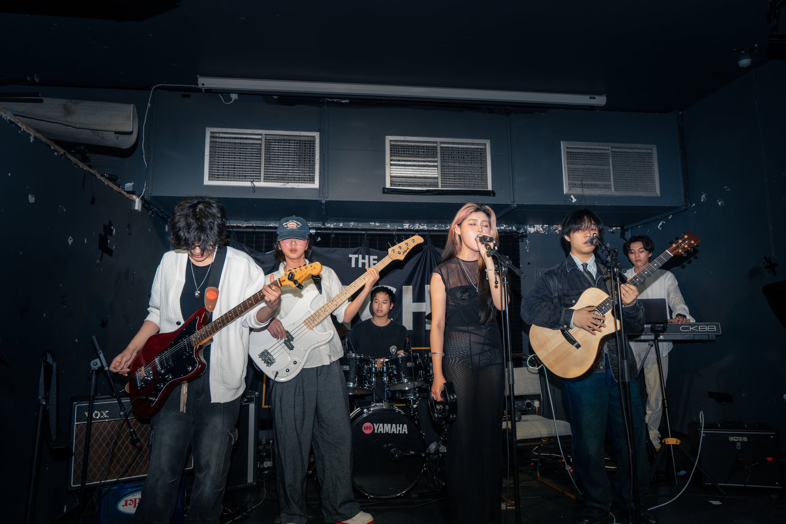 Wide live music frame from Omni Band